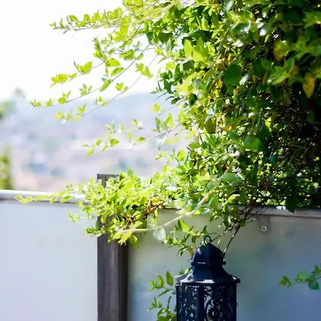 La Terrasse Du Belvédère-appartement 3 Chambres-nancy- Avec Stationnement