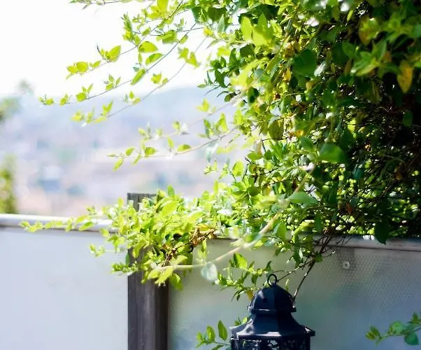 La Terrasse Du Belvedere-appartement 3 Chambres-nancy- Avec Stationnement